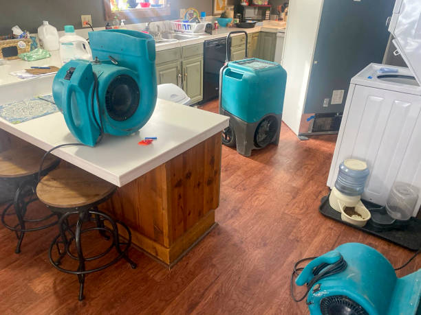 Best Basement water damage restoration  in Claremont, NH