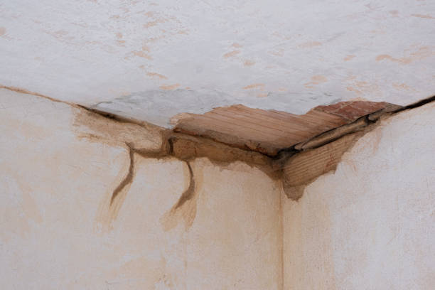 Best Flood restoration services  in Claremont, NH