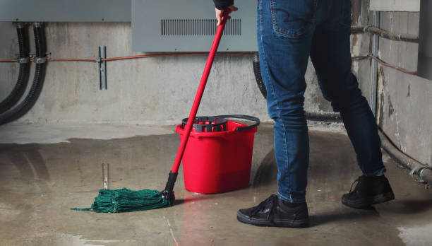 Best Water damage contractors near me  in Claremont, NH