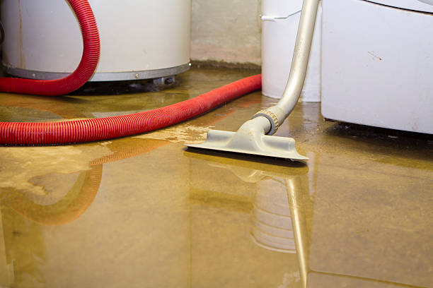 Best Water damage restoration experts  in Claremont, NH