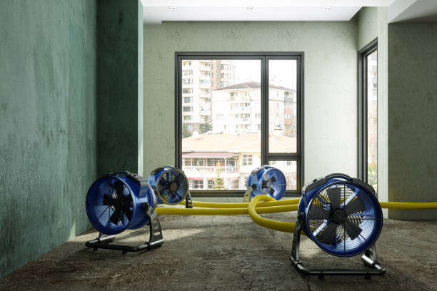 Best Water damage cleanup near me  in Claremont, NH